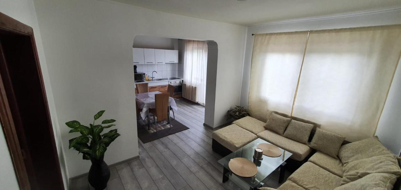 Casa Alex Si Daiana Apartment Orşova Екстериор снимка