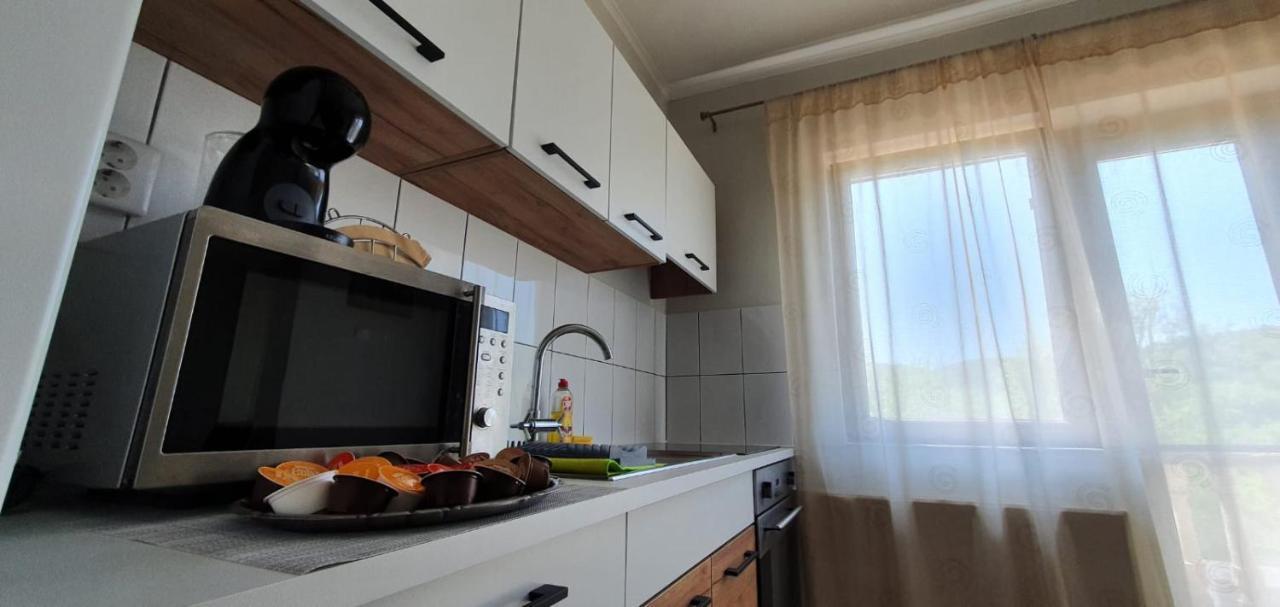 Casa Alex Si Daiana Apartment Orşova Екстериор снимка